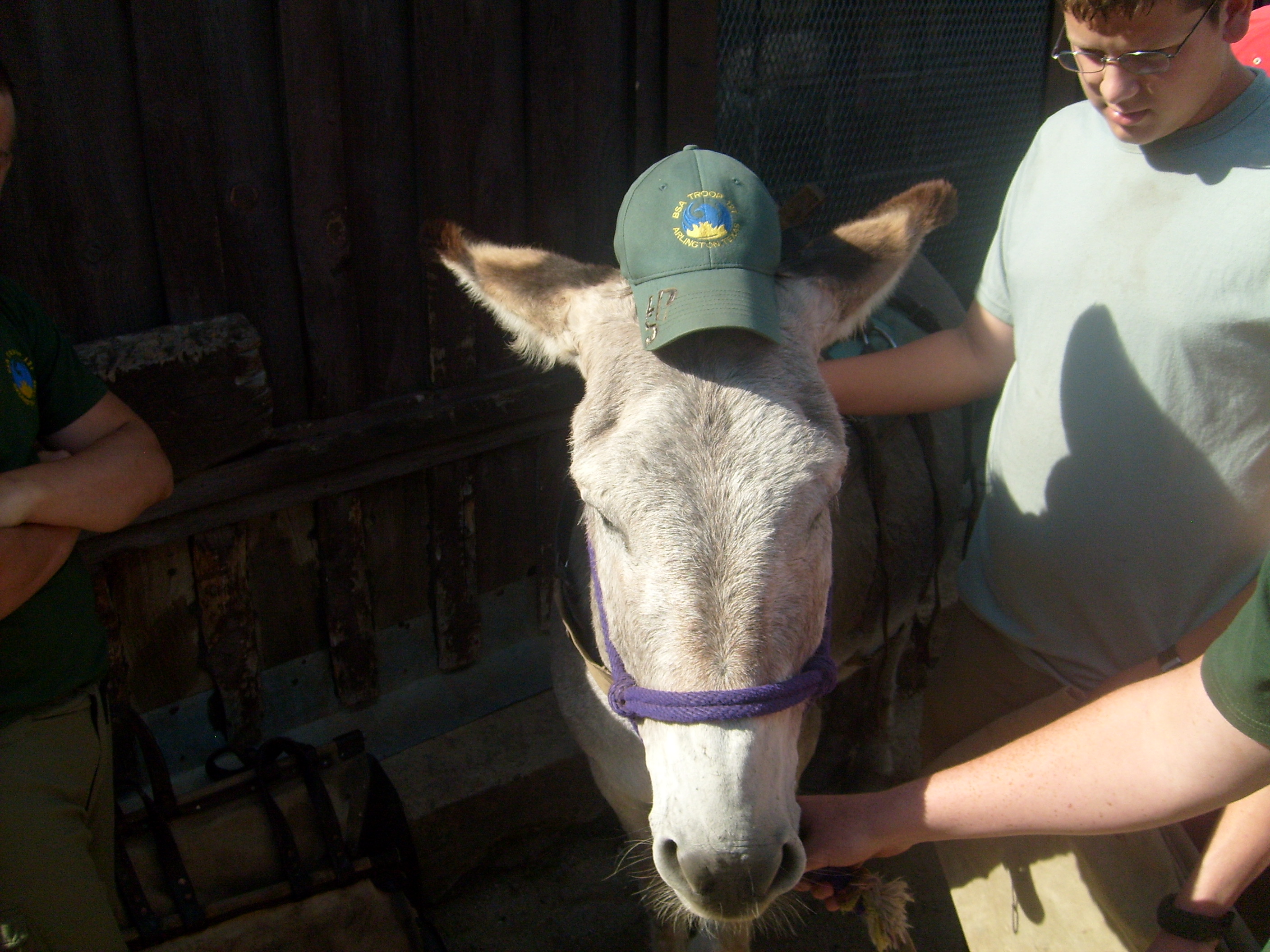 Looks like we picked up a new Troop Member at Philmont. 